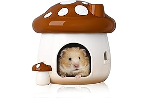 BUCATSTATE Mushroom Hamster Hideout: Respite for Your Rodent Companion