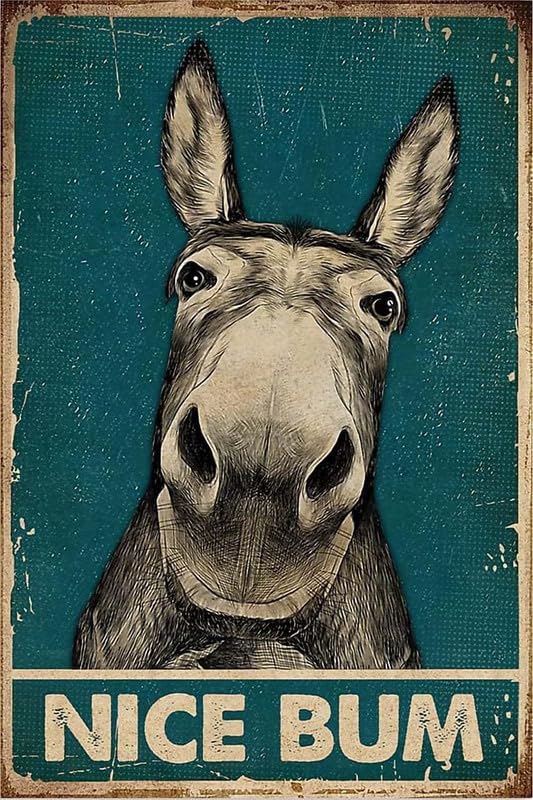 Rustic Retro Metal Tin Sign Nice Bum Donkey Poster Bathroom Signs Wall Decor Vintage Bathroom Retro Farmhouse Home Restroom Toilet Bath Signs Wall Decor 8x12 Inch