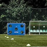 Relaxdays Fußballtor mit Torwand, Garten, Kinder & Erwachsene, Soccertor, HBT 170x235x85 cm, Stahl, Tor groß, blau-weiß - 5