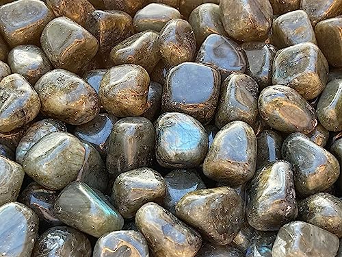 Image of GAF TREASURES 1 /2 LB Labradorite Tumbled Stones, Polished Labradorite Gemstone, Labradorite Healing Crystals (Labradorite)