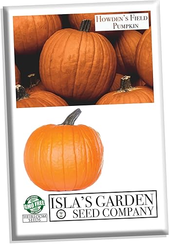 Howden - Semillas de calabaza de campo para plantar, más de 20 semillas tradicionales por paquete, semillas de jardín de Isla (semillas de jardín de