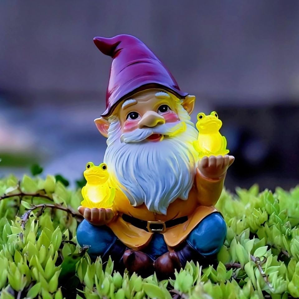 Top Collezione Miniature Fairy Garden e terrario Gnomo