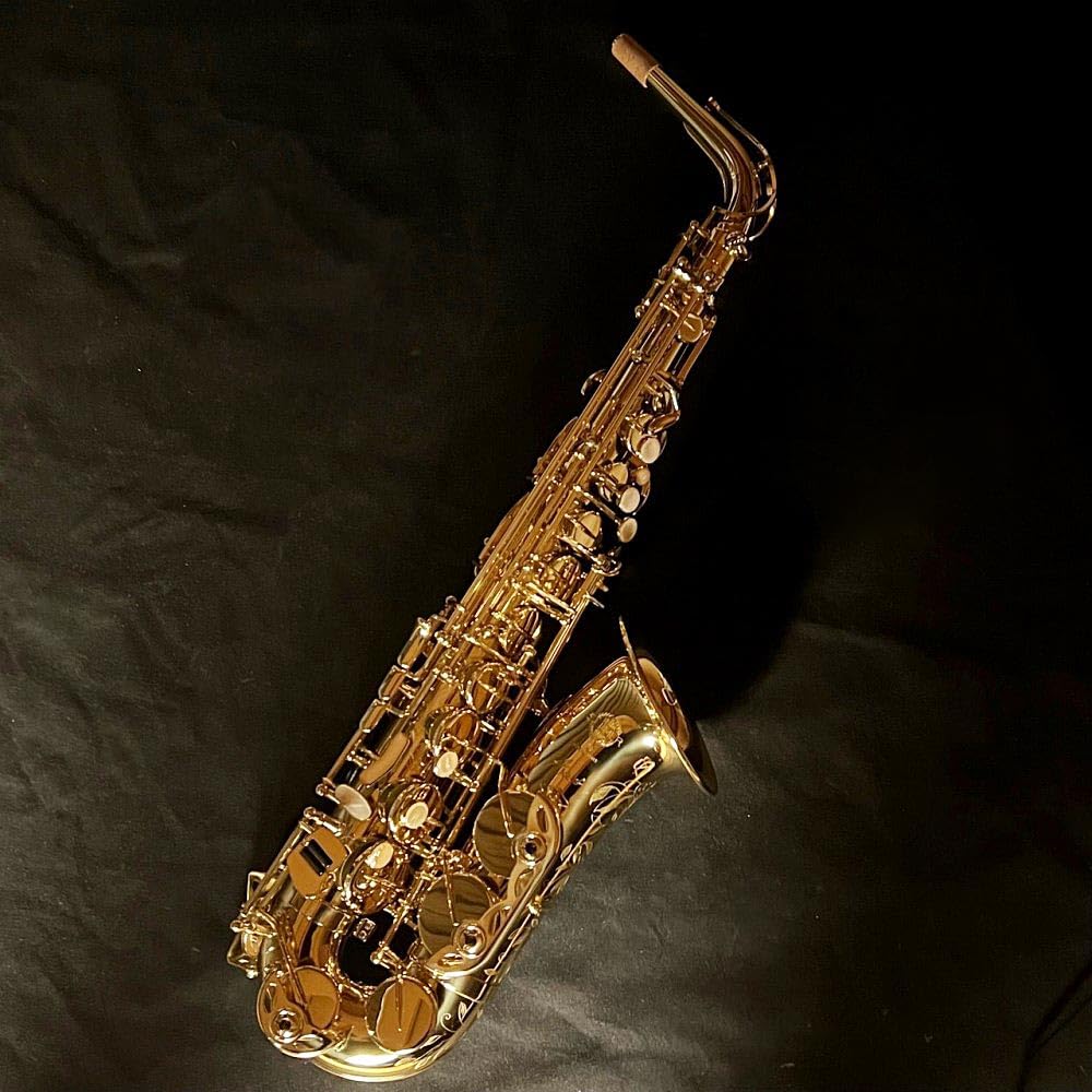 Amazon | H.Selmer Axos second generation アルトサックス/ゴールド