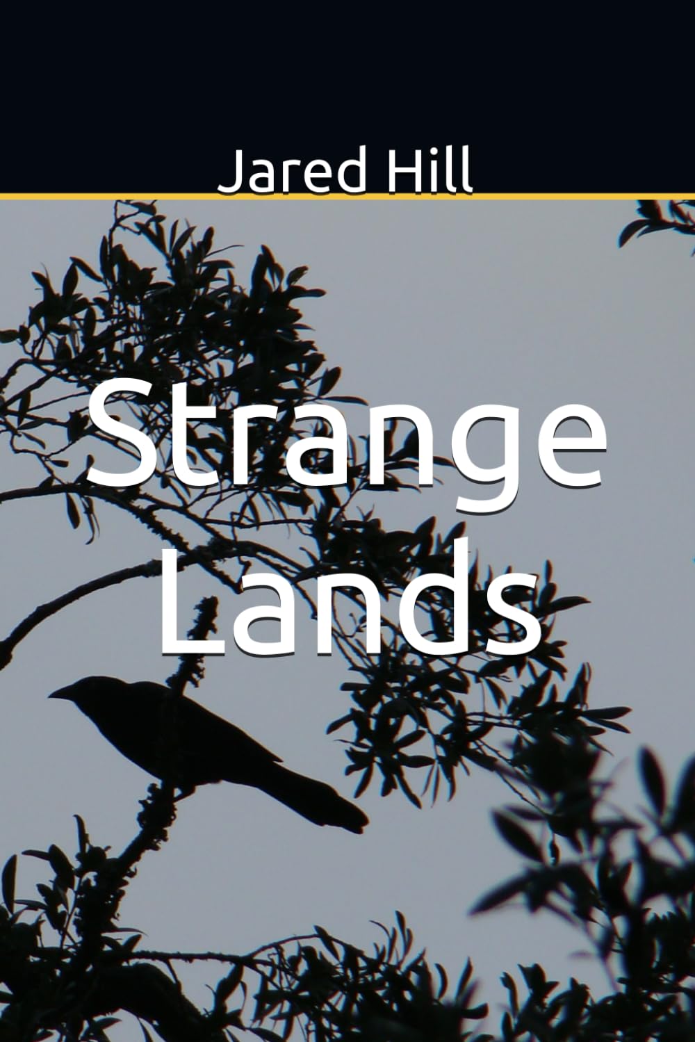 Strange Lands
