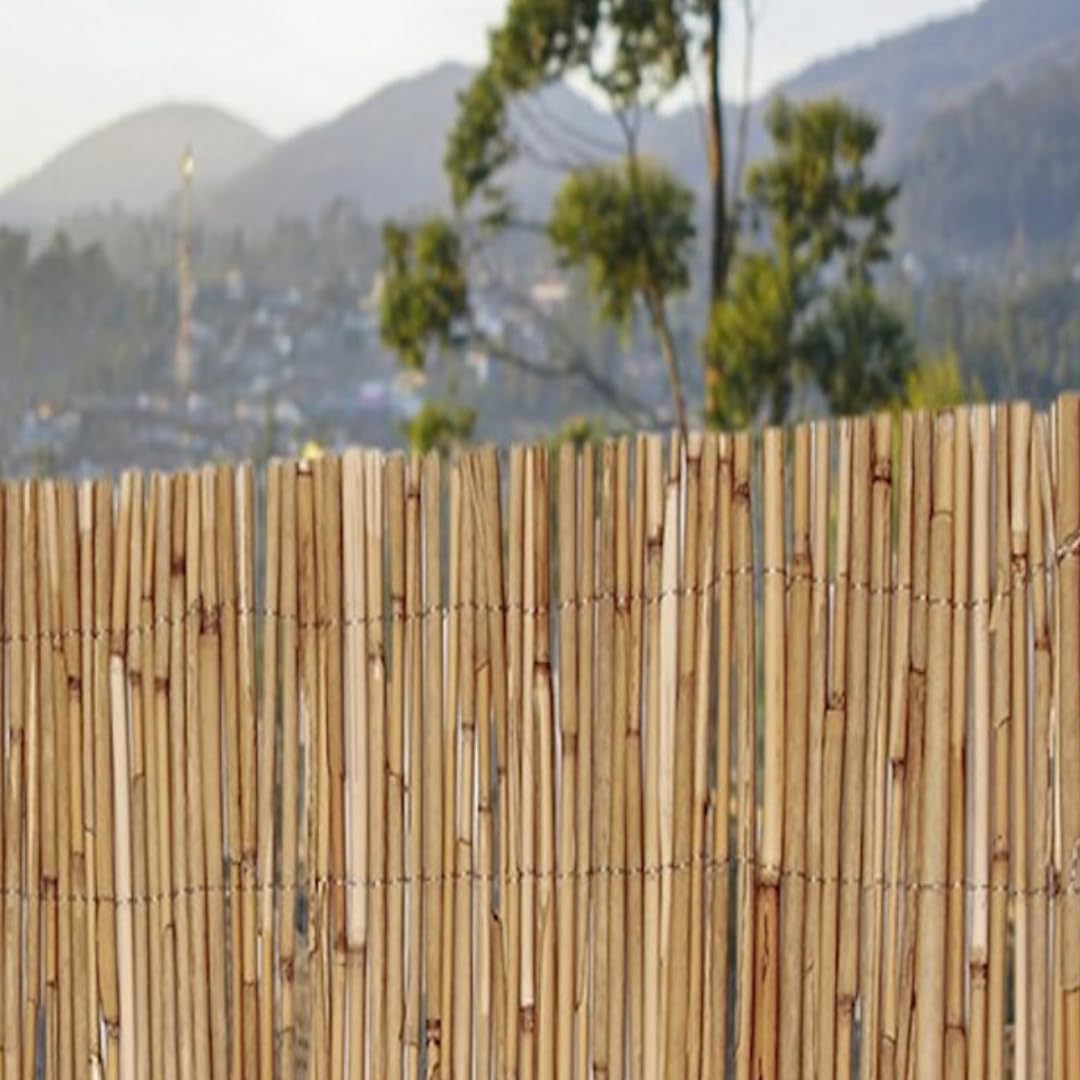 Cañizo de Bambu Pelado Privacidad Jardín Cerramiento (2_x_5_metros)