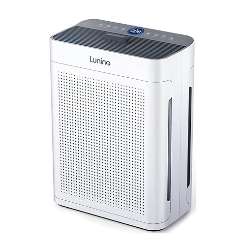 LUNINO HEPA Double-Sided Air Cleaner