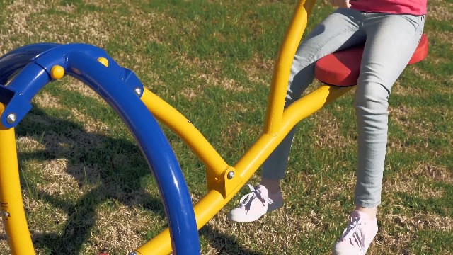 Gym Dandy Pendulum Teeter Totter Seesaw Set TT-320, Multi