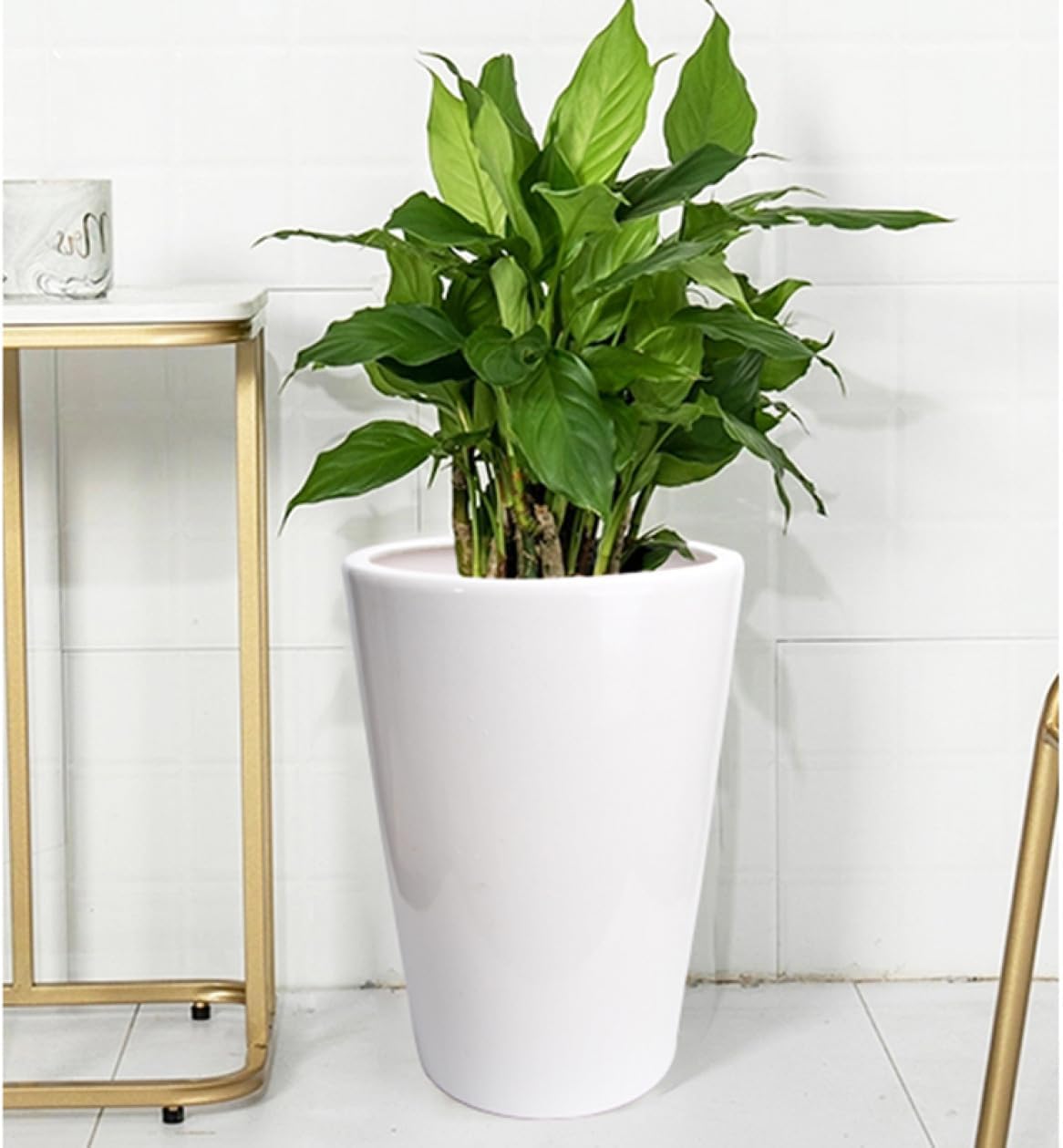 spicygem spicy gem 細川政己 植木鉢 鉢 pot spicygem spicy gem 細川政己 植木鉢 鉢 pot spicygem spicy gem studs