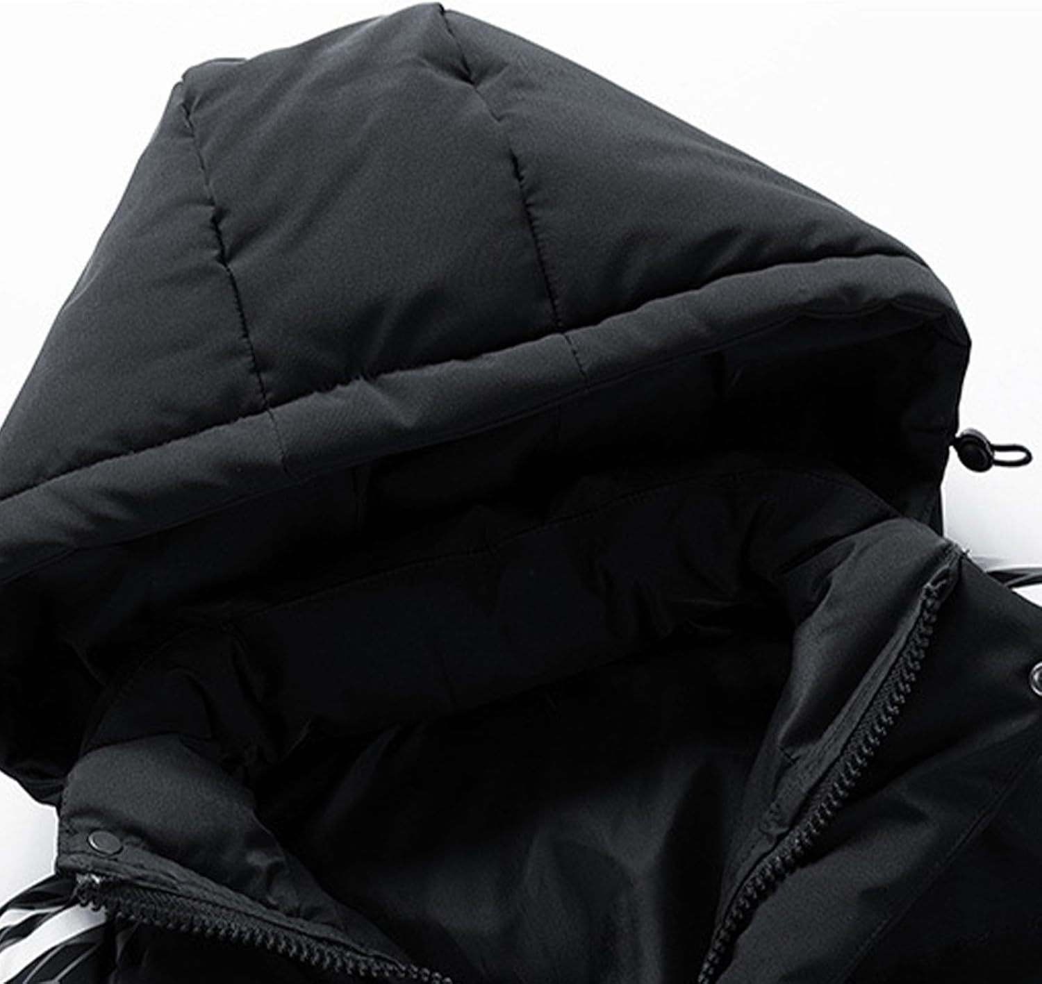 月下猪図】浅井柳塘 2655 阿波徳島出身 イノシシ 掛け軸 肉筆 浅井柳塘