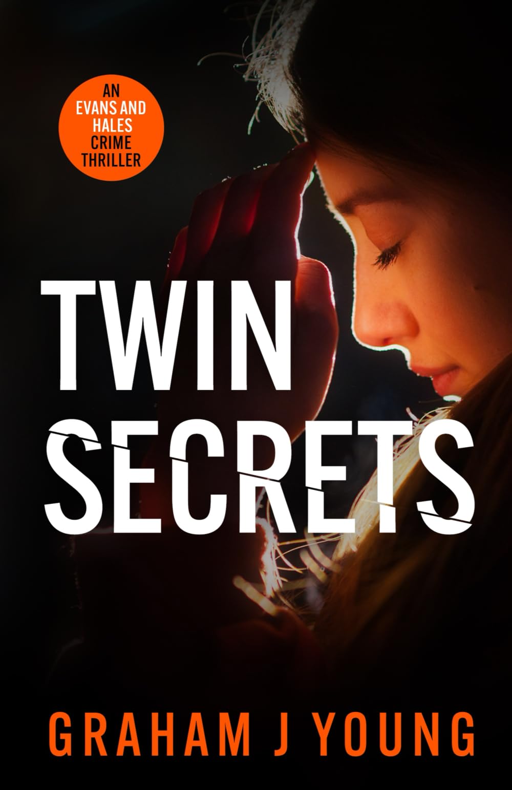 Twin Secrets: An Evans and Hales Crime Thriller