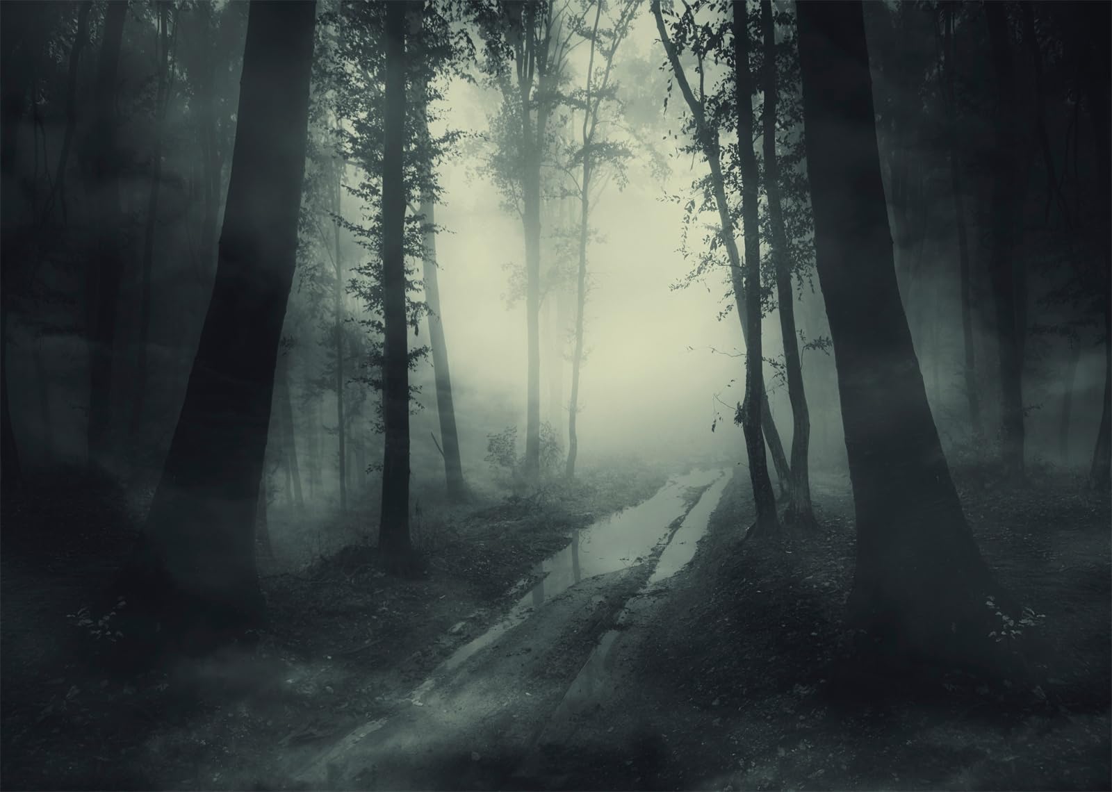 12x10FT (3.6x3m) Sentiero Nebbioso Tra Alberi Scuri Sfondo Fotografico