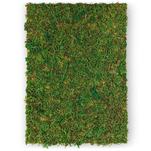 Netuno Moosplatte Grün A4 297x210mm Naturmoos auf Textilfaser Deko-Moos zum Basteln und Dekorieren Moosmatte Deko-Matte DIY Flachmoos für Ostern Weihnachten Floristik Terrarium Dekoration