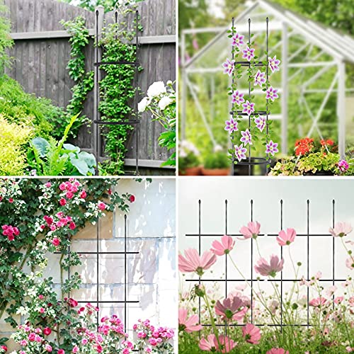 Garden Trellis, 2 Pack Shaped Plant Support, 48" Tomato Cages For Garden, Trellis For Potted Plants Climbing Plants Outdoor Vine Pots Flower Vegetable With 18Pcs Plant Stakes, 6 Shape-Adjustable Rings #TOP1