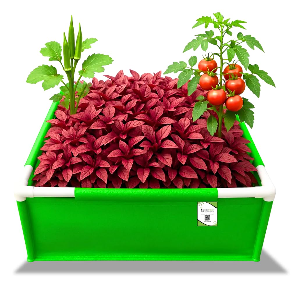 ORGANIC BAZAR 24x18x12 Rectangle Grow Bag with Supporting PVC Pipes for Home & Terrace Garden | Premium HDPE 350 GSM Raised Bed Plant Bag Planter (Pack of 1)