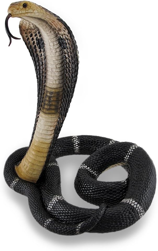 Lіmіtеd Dіѕсоunt Veronese Design Coiled and Rearing King Cobra Sculptured Statue 🔥 Hоt Dеаlѕ Veronese Design Coiled and Rearing King Cobra Sculptured Statue