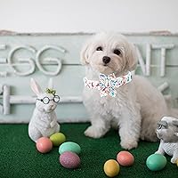 Vista 123 de Lionheart glory Collar de perro con bandera estadounidense, collar de flores para perro del 4 de julio, resistente y ajustable, collar patriótico