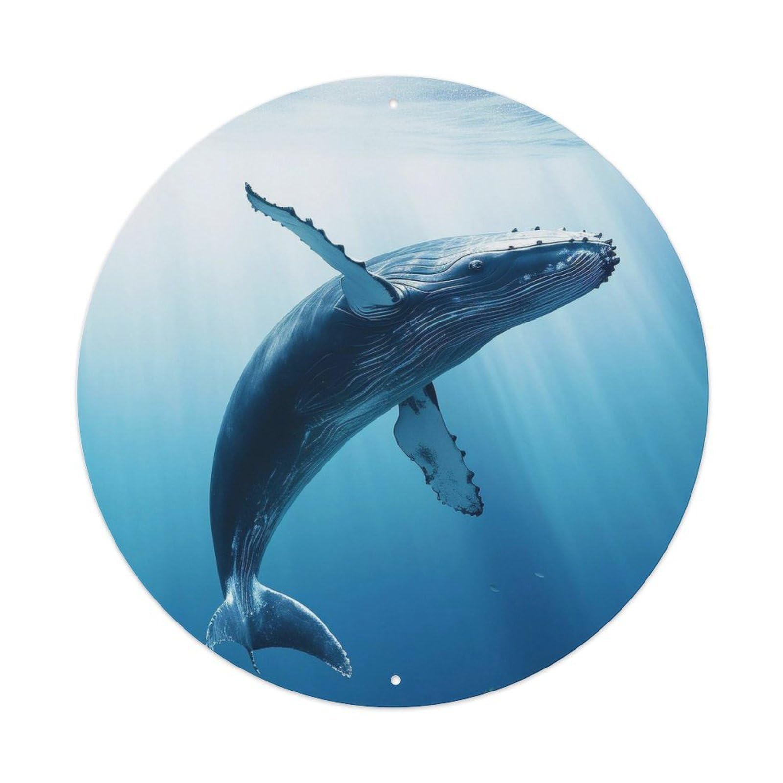 Animal Great Fin Whale Metal Tin Sign