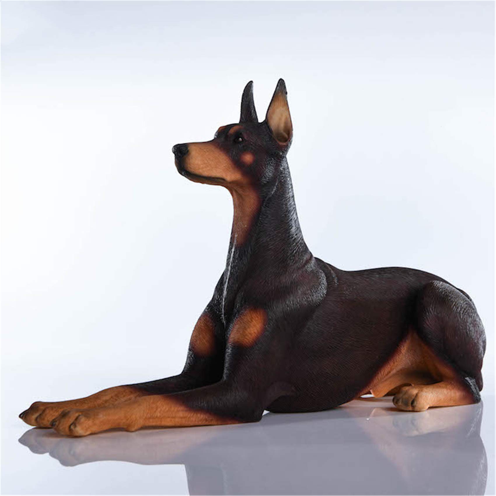 Amazon.com: Lana Toys WLNTDOLA 1:6 Scale Brown Doberman Pinscher