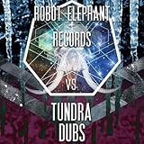 Robot Elephant Records