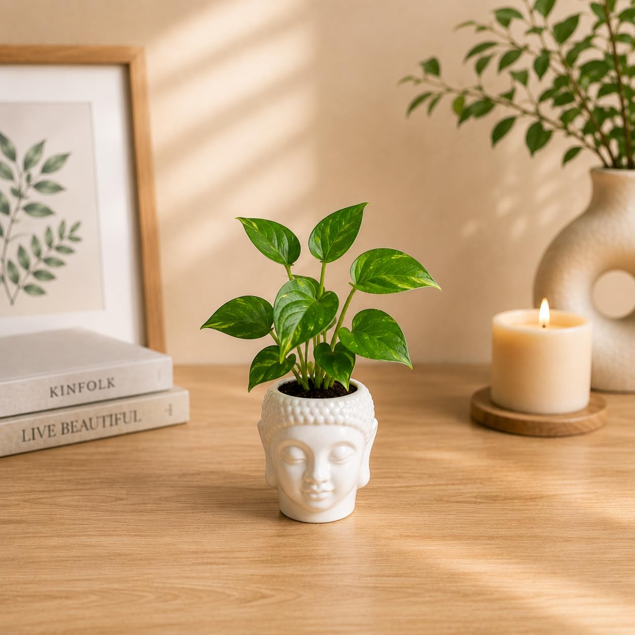 FNP Live Money Plant with Buddha Ceramic Pot | Lucky Indoor Succulent Plant for Home Décor, Office Desk, Air Purification & Gifting-image-48