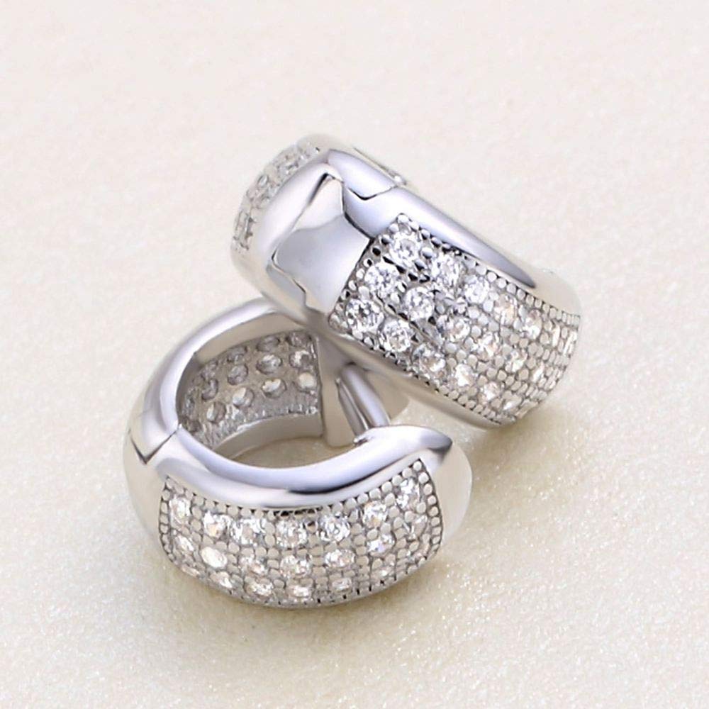 Ohrringe Hoops Bolzen 925 Sterling Silber Hoop Ohrringe für Frauen Schmuck Luxus Zirkonia Ohrpiercing Circle Hoops hohl Ohr -Modezubehör