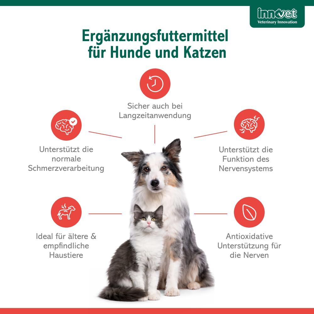 Innovet Alevica PEA-q für Hunde und Katzen, 100 ml Flüssigkeit für das Gleichgewicht des Nervensystems, PEA Hund, Flüssigkeit mit Spritze, Unterstützt neurologische Funktion, Komfort und Wohlbefinden