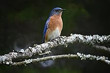 Review Image by Thomas C.