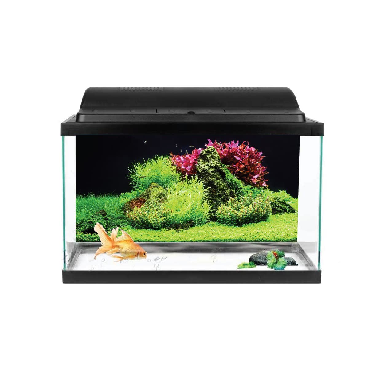 See full amazon price history chart for VVWV® Aquarium Background Stickers for Fish Tank Waterproof Vinyl Printed Multicolored Plant Sticker (Grass) (91 X 41 CMS) VVWV® Aquarium Background Stickers for Fish Tank Waterproof Vinyl Printed Multicolored Plant Sticker (Grass) (91 X 41 CMS) (B0BX5XQTW4) Amazon Price History, Amazon Price Tracker