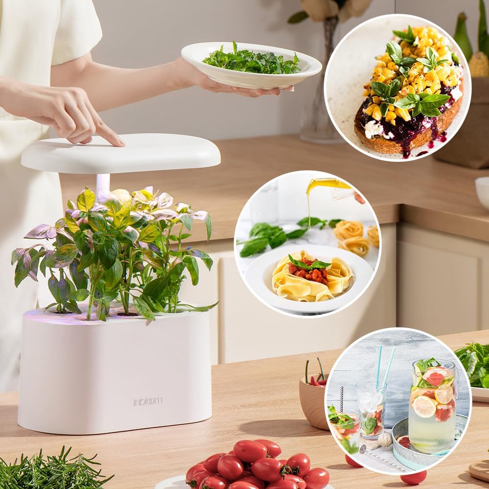 inbloom Gourmet Herb Seed Pod Kit for AeroGarden, iDoo, Ahopegarden with Basil, Parsley, Cilantro, Chrysanthemum, Pak Choi, Crystalline Ice Plant, Onion, Hydroponics Growing System Supply (12-Pod)