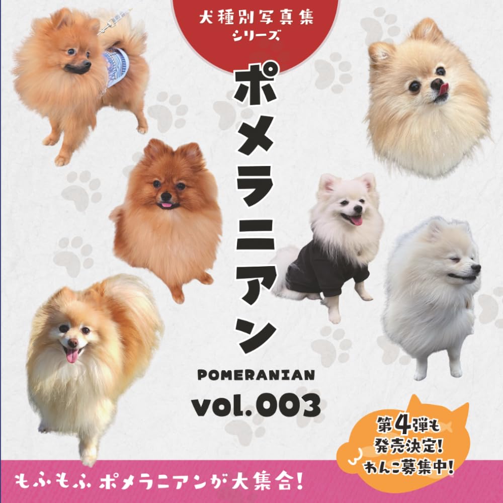 ポメラニアン（Pomeranian）vol.003: 犬種別写真集シリーズ