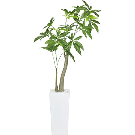 Amazon Doris 人工観葉植物 高さ約107cm 簡単世話いらず 水やり不要 陶器鉢 パキラ M 人工観葉植物 オンライン通販