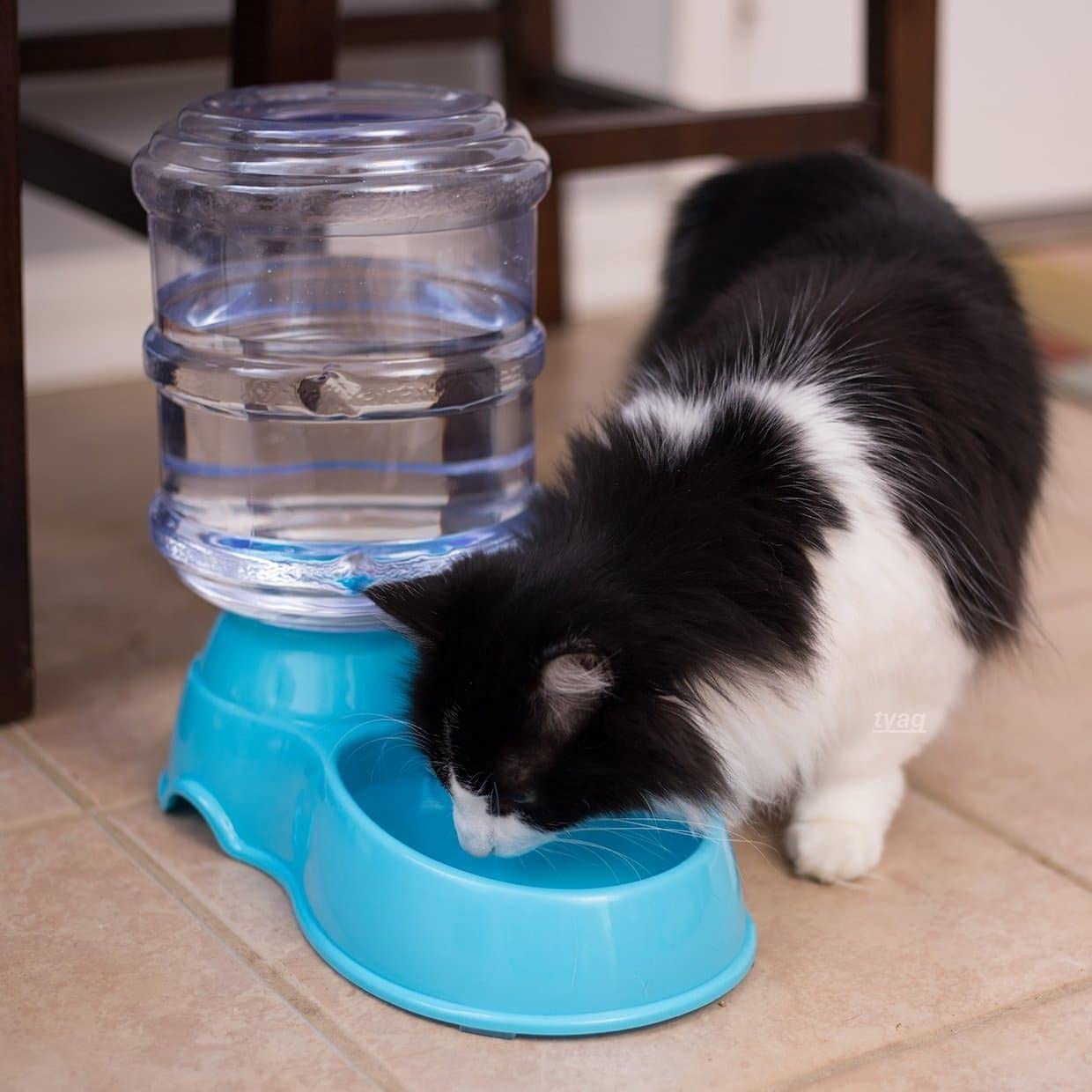 PARSPAR Automatic Pet Water Food Dispenser 3.5L Large Capacity Self-Dispensing Gravity Pet Feeder Waterer Cat Dog Feeding Bowl Drinking Water/Automatic Feeding Pet Supplies - 1Pcs 4