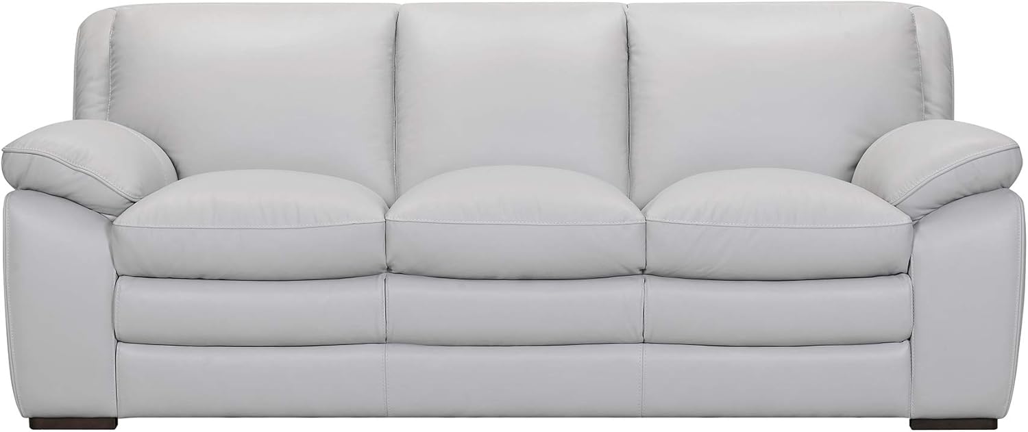 Armen Living Zanna Contemporary Modern Sofa in Genuine Dove Gray Leather with Brown Wood Legs