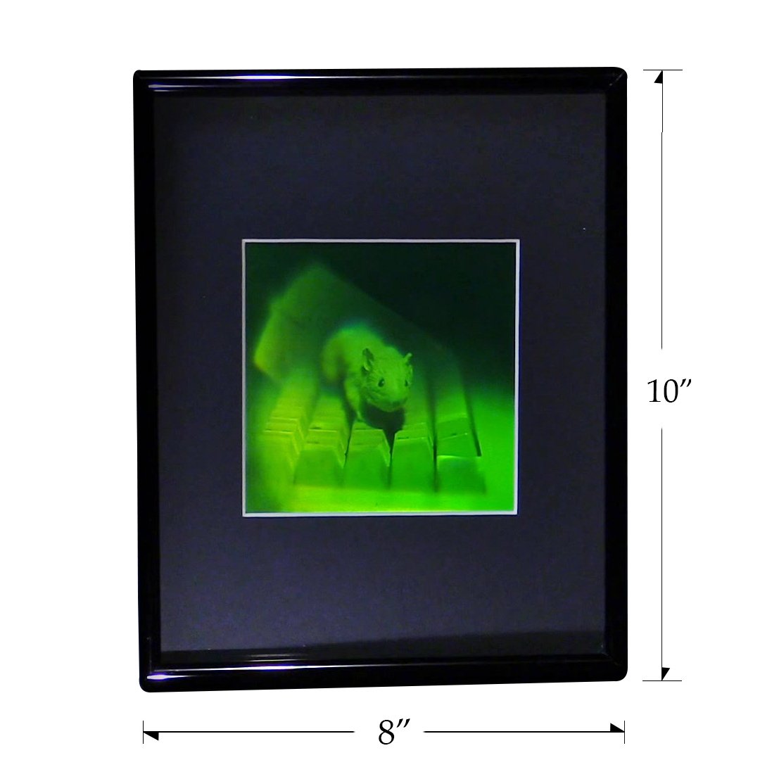 Wielokanałowy hologram myszy 3D (w ramce), kolekcjonerska folia fotopolimerowa