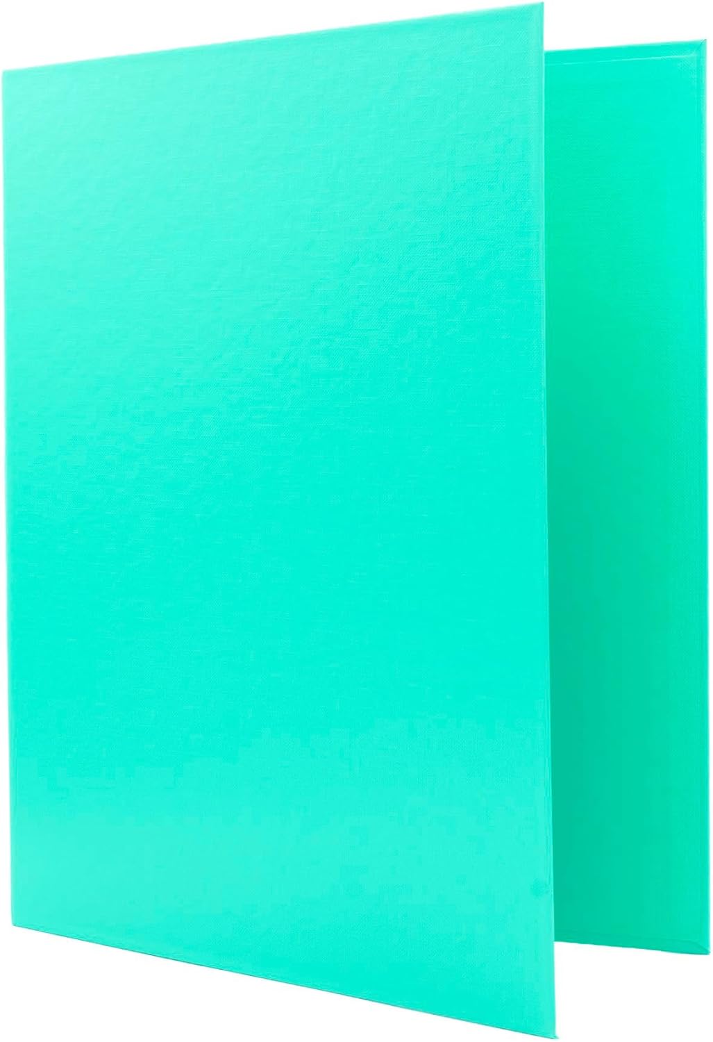 Raylu Paper® - 4 D-Ring Binder 25 mm, A4 File Cabinet with Rings for Storing Documents, A4 Size 33.5 cm High x 26 cm Wide and 4 cm Thick Spine (Pastel Green)