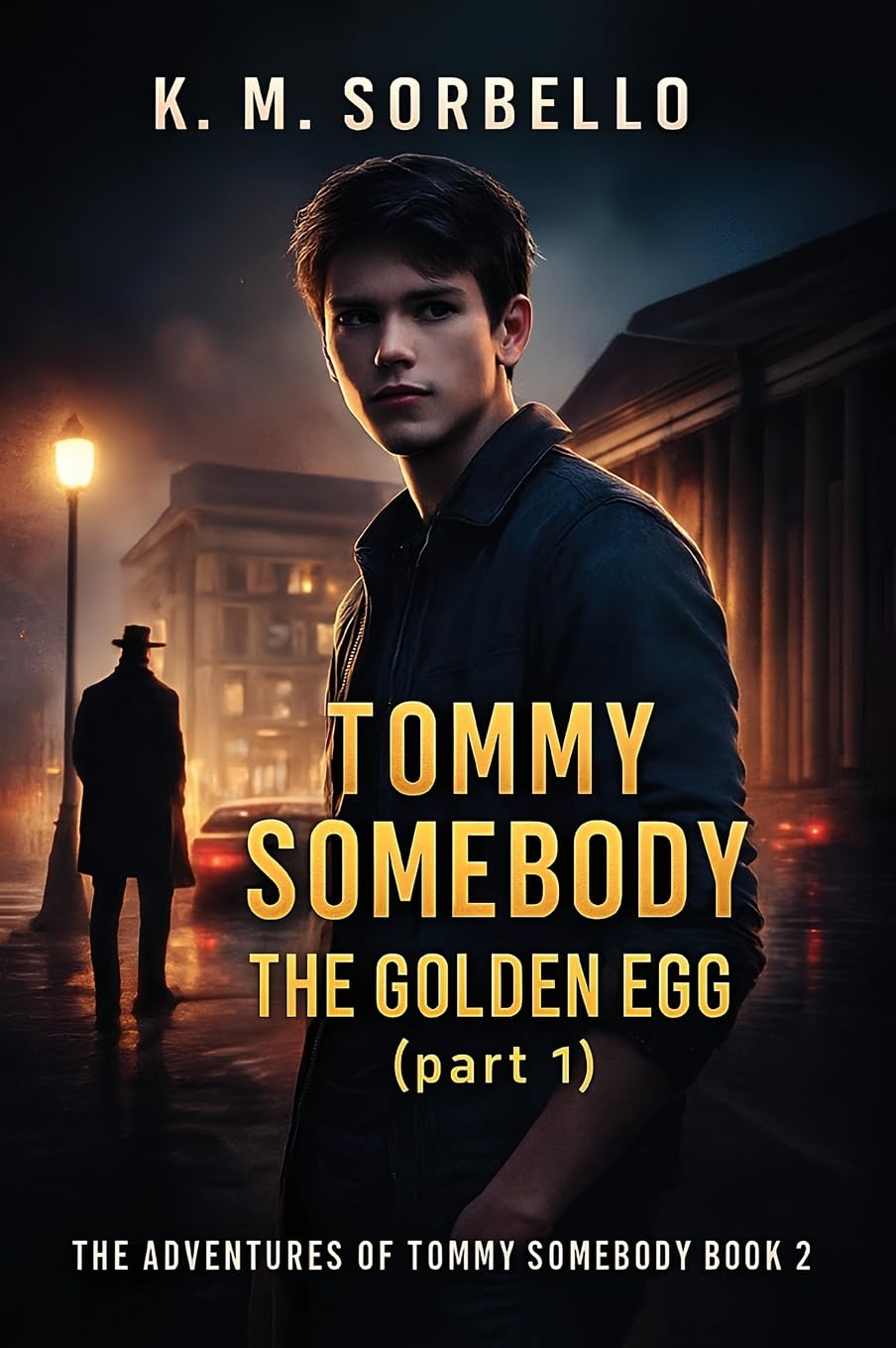 Tommy Somebody: The Golden Egg (part 1) (The Adventures of Tommy Somebody)