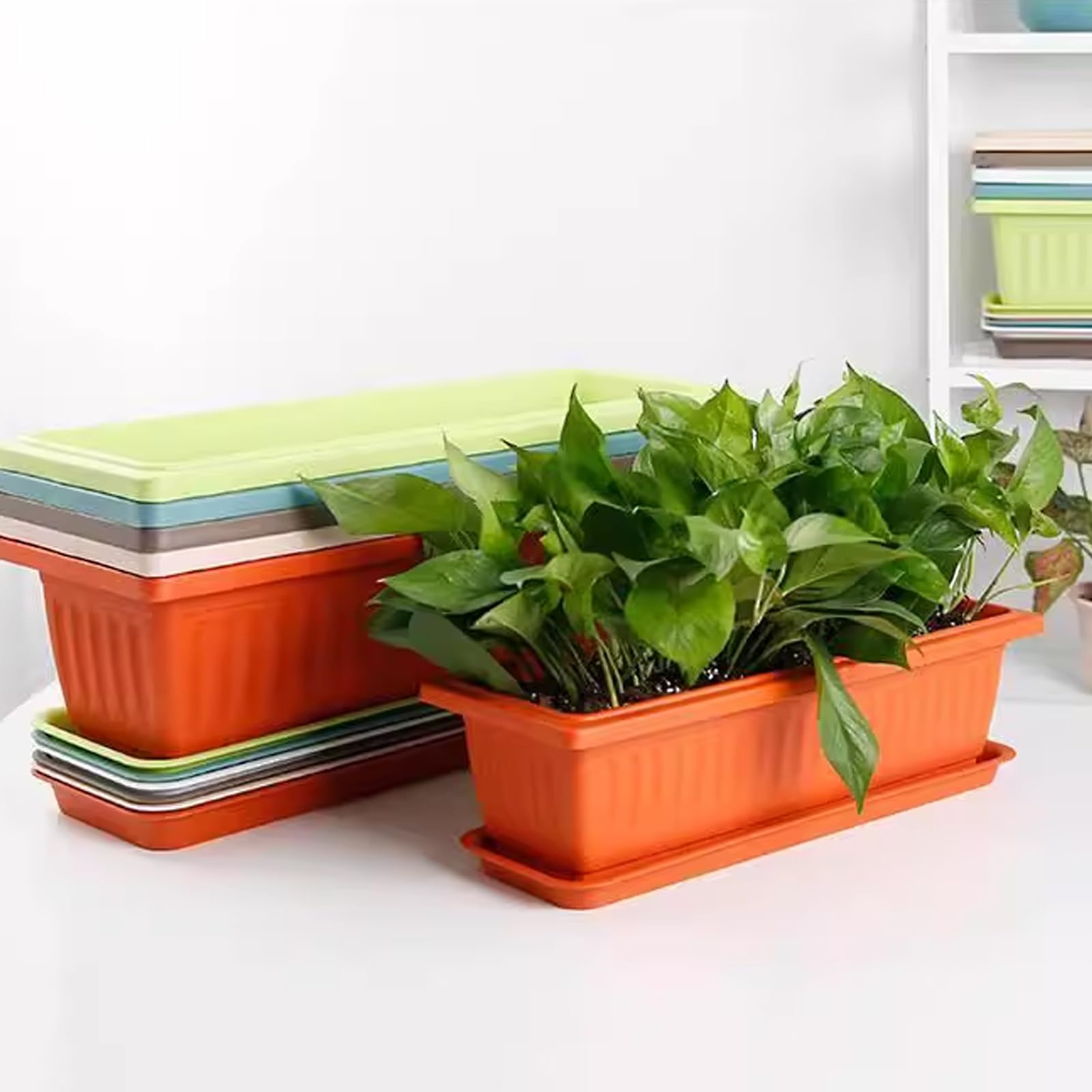 Vassoio di Raccolta, Vaschetta di drenaggio in plastica Grande per Piante - Vaschetta per l'acqua in Resina PP Ispessita con Angoli arrotondati, 74x22x4 cm (29x9x1,6 Pollici) - Ideale per us