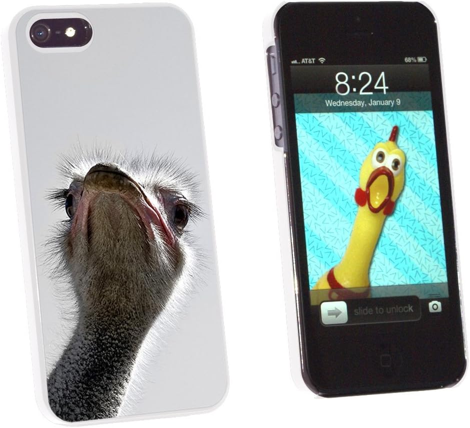 Graphics and More Ostrich Bird - Funny - Snap-On Hard Protective Case for Apple iPhone 5/5s - Non-Retail Packaging - White