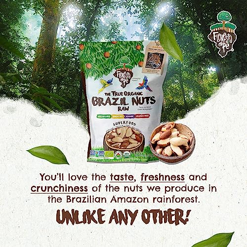 The True Organic Premium Brazil Nuts (32Oz - 2Lbs) Raw & Unsalted | Kosher | Non-Gmo | Certified Organic | Fresh | Vegan | Gluten Free | Keto And Paleo Friendly | Sustainably Harvested #TOP1