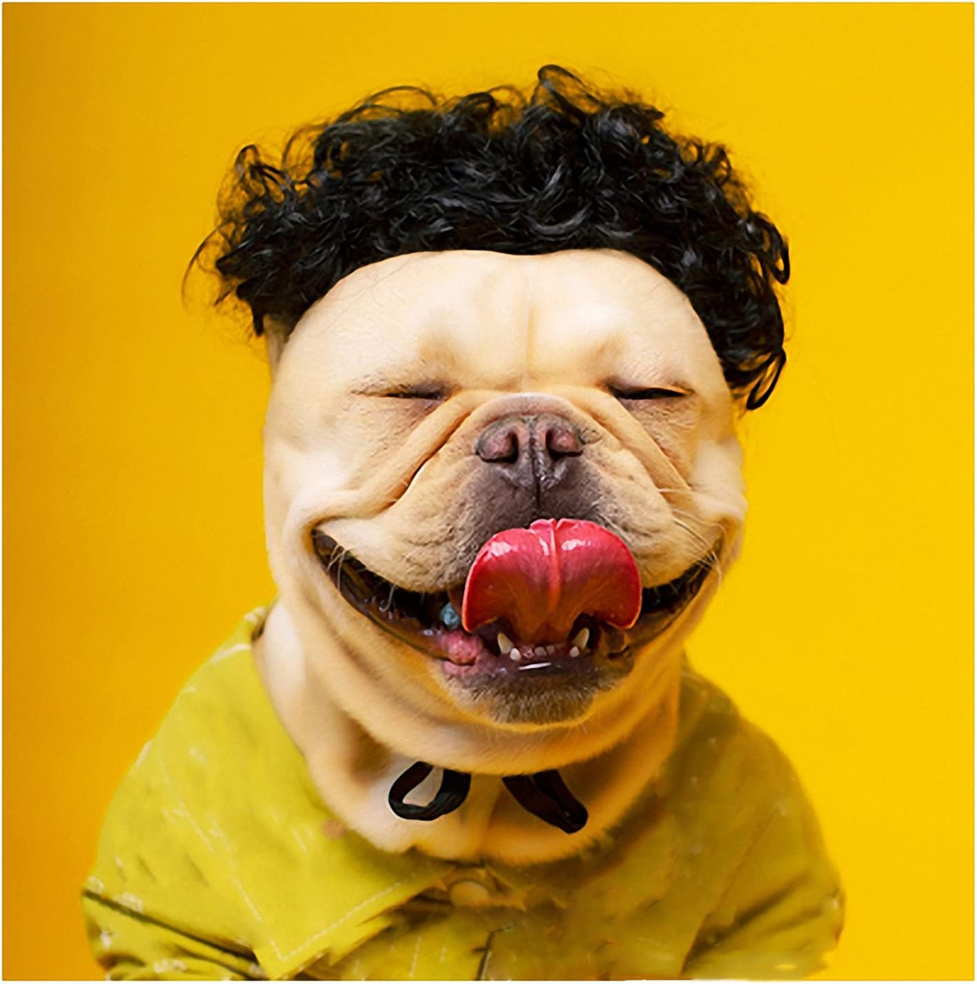 大幅値下げランキング Axtmr 面白いペットのかつら かわいい犬の三つ編みの頭飾りは ハロウィーンパーティーのロールプレイで猫と犬の衣装に使用できます