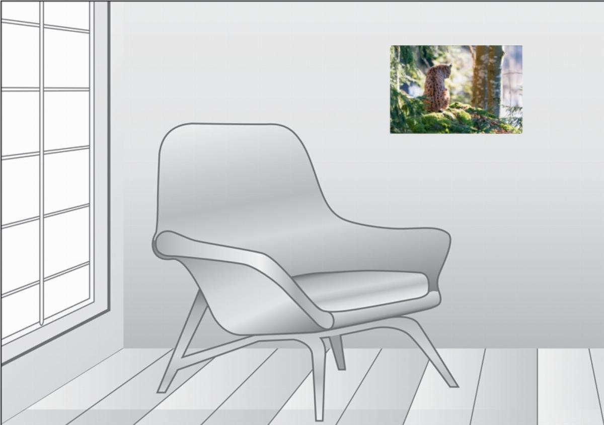 Premium Textil-Leinwand 45 x 30 cm Quer-Format Luchs | Wandbild, HD-Bild auf Keilrahmen, Fertigbild auf hochwertigem Vlies, Leinwanddruck von CH Photography