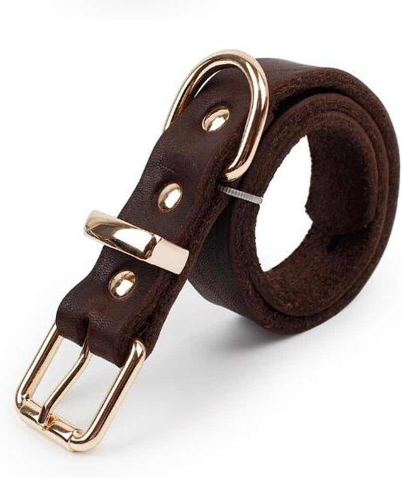 HungMeo Soft Touch Collars - Luxury Real Leather Padded Dog Collar, Leather Dog Collar, Supper Soft Distressed Leather- Premium Quality, Modern Stylish Look