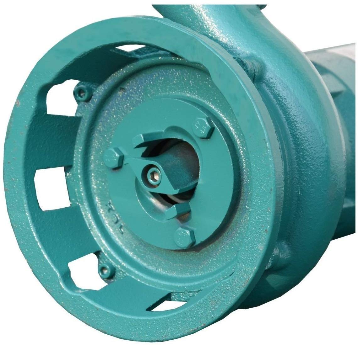 Pompe submersible 1500 W IBO 1,5 kW avec hachoir + tuyau 2" Storz C + tuyau de 50 m Pompe à eau Pompe à eau fécale Pompe pour eaux usées avec tuyau de construction, mécanisme de coupe, flotteur