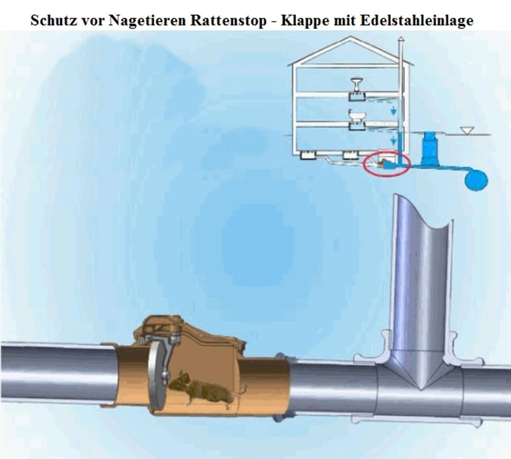 Valvola di sicurezza, anti-riflusso: DN 160/150/160/150 mm, valvola di bloccaggio con inserti in acciaio INOX per 150 bar