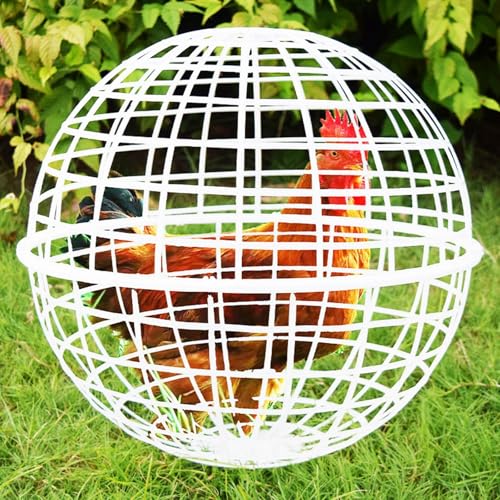 Cage lapin cage pet sphere anti odeur et facile a laver - 4