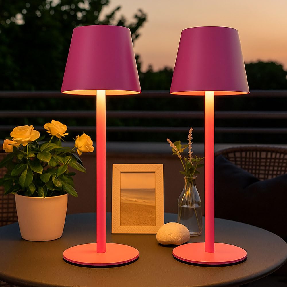 Außenleuchte Tischlampe Akku Tischleuchte Touchdimmer Flaschenaufsatz CCT, pink, USB-C, LED 3W 200Lm warm-kaltweiß, DxH 11,5x36 cm, 2er Set