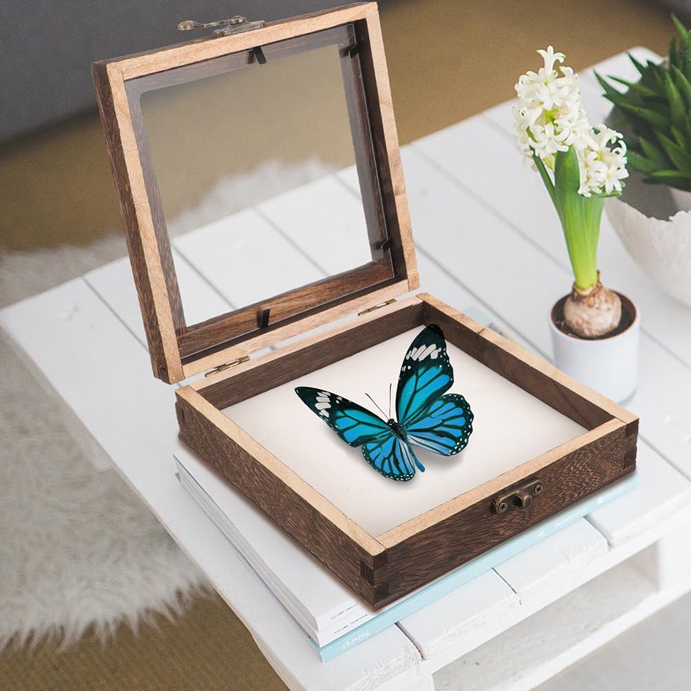 STOBAZA Vetrina in legno per campioni di insetti con coperchio trasparente, 10 x 10 x 4 cm, espositore compatto per la presentazione di farfalle e campioni di piante