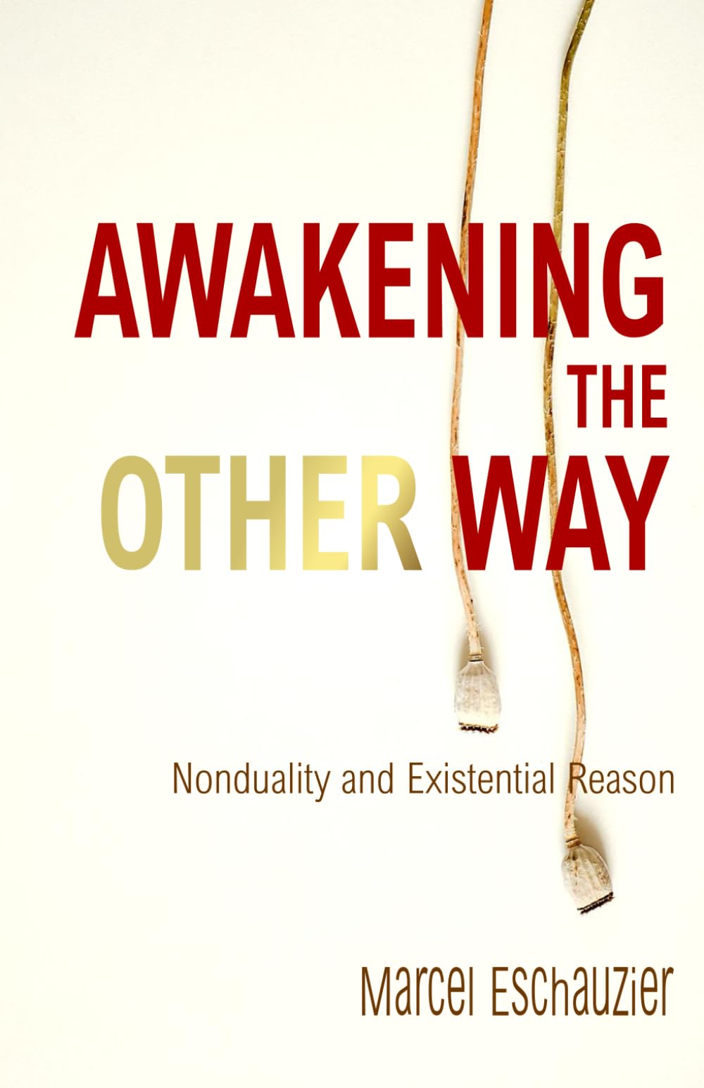 Awakening the Other Way: Nonduality and Existential Reason (Simply Nondual Collection)