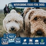 Butcher's Puppy Perfect Dog Food Tins, 6 x 400g - Image 5