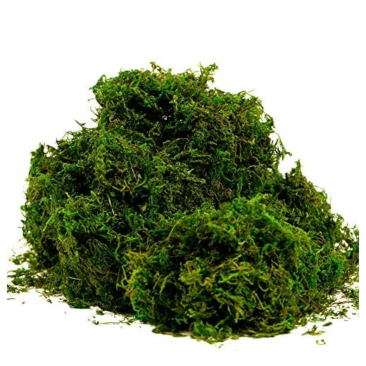 BYHER Fake Moss, Artificial Fresh Green Moss for Wedding Centerpieces Garden Terrariums Decoration (8OZ)